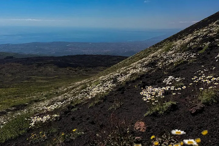 Off-road jeep parked on a black lava field on the slopes of Mount Etna during a morning jeep tour from Catania, Sicily